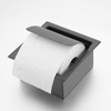 YF61133 Bathroom Toilet Paper Holder Concealed Recessed Roll Holder, Stainless Steel Tissue Box in-Wall 