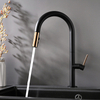 Modern Kitchen Faucets with Pull Down Sprayer for Home